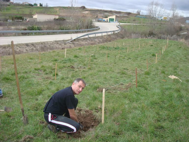 Plantada de árboles, febrero 2011