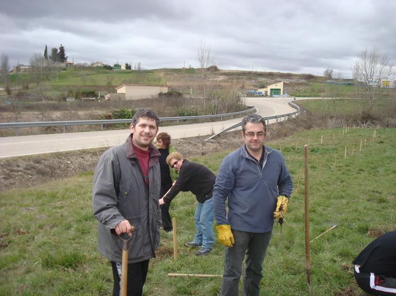 Plantada de árboles, febrero 2011