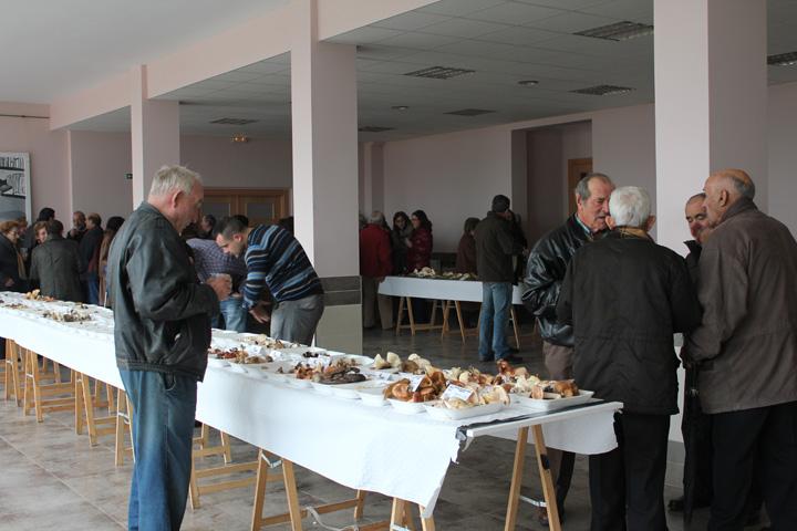 X JORNADAS MICOLOGICAS EN BUSTO DE BUREBA